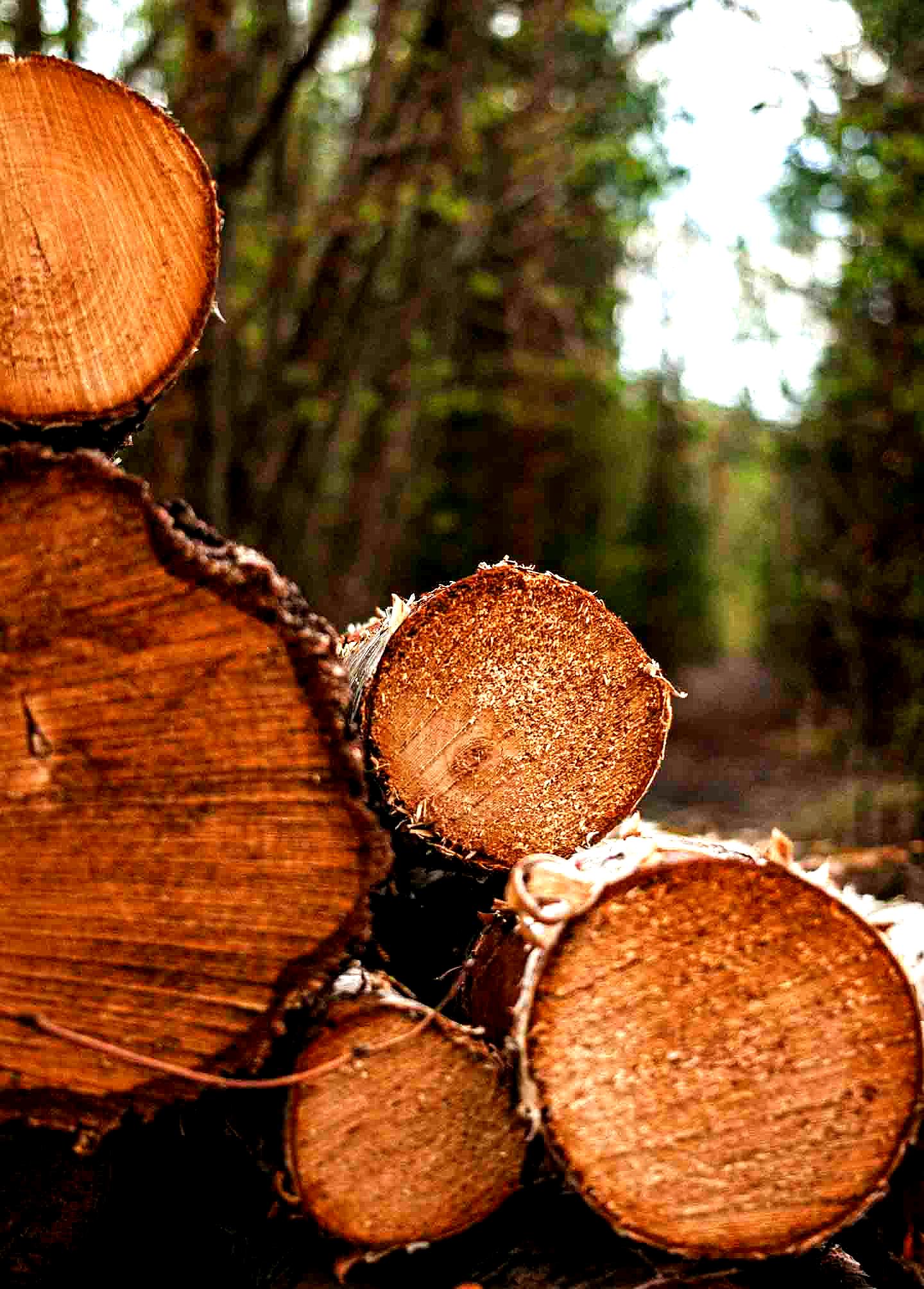 12"-16" Round Log Timber